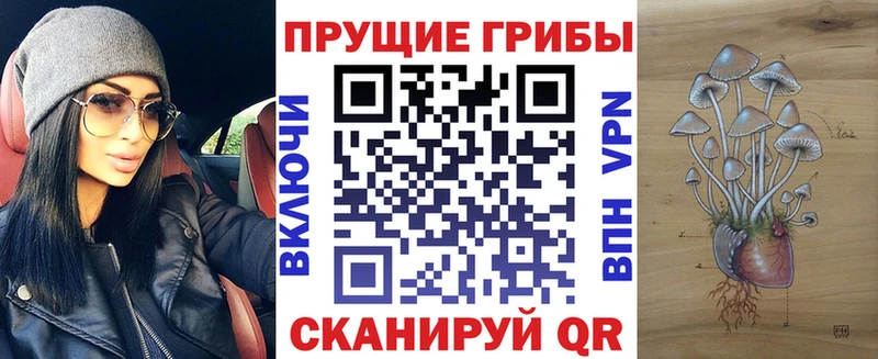 Галлюциногенные грибы Psilocybe  купить наркоту  Анадырь 